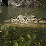 Der Kakadu Nationalpark in Australien