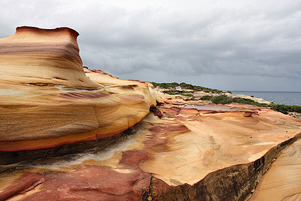 Royal Nationalpark in Australien