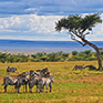 Die Sehenswrdigkeiten in Kenia