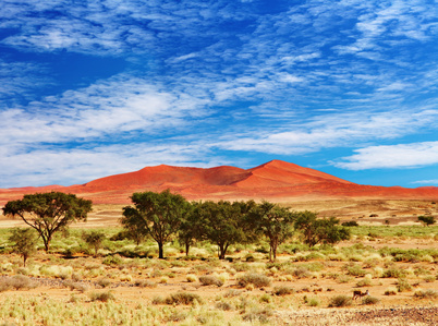 Sehenswürdigkeiten in Namibia - Namib Wüste