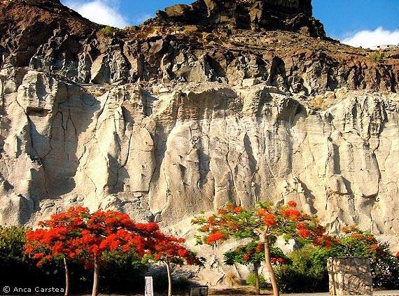 Felswand am Playa de Mogán auf Gran Canaria