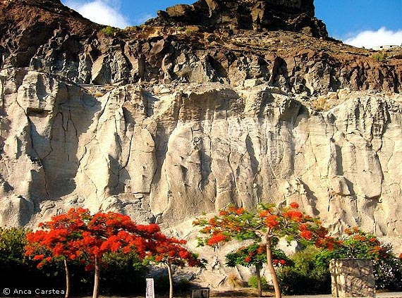 Felswand am Playa de Mogn auf Gran Canaria