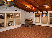 Ausstellung im Castell de Capdepera