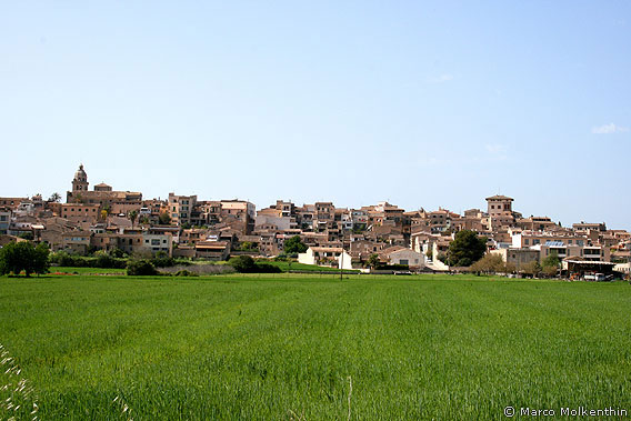 Monturi