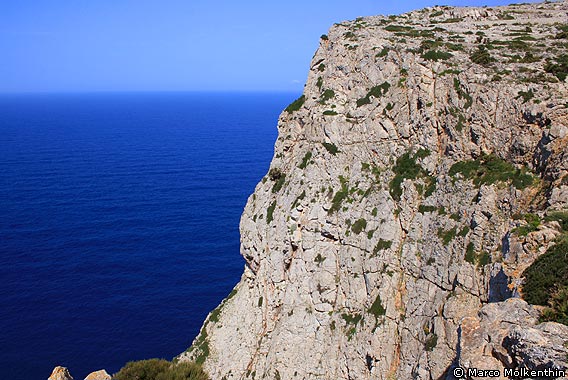 Cap de Formentor, Mallorca