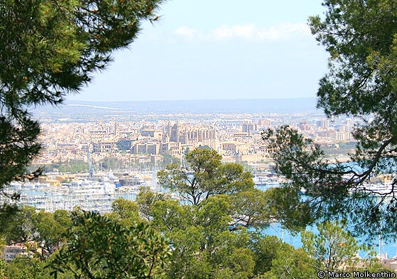 Blick auf Palma de Mallorca
