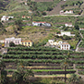 La Gomera Sehenswürdigkeiten: Valle Gran Rey