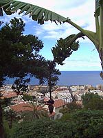 Blick auf Puerto de la Cruz