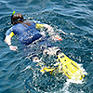 Schnorcheln, Ningaloo Reef, Australien